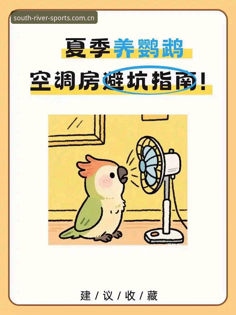 江南体育官方CN登录端 江南体育官方CN登录端避坑指南:常见错误与正确操作详解